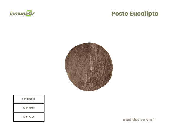 Poste de Eucalipto 12 mts