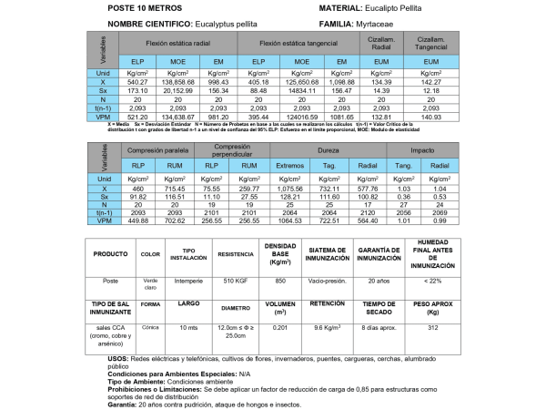 Poste de Eucalipto 10 mts